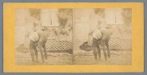 Acrobat in a garden