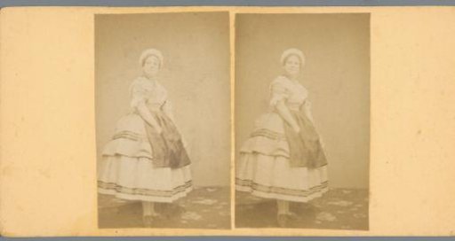 Portrait of a woman with an apron over her dress