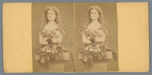 Bust of a woman dressed in a costume of feathers on a pedestal