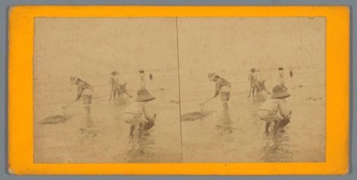 Children on the beach