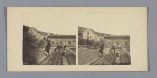 Farm labourers in a vegetable garden in front of a house