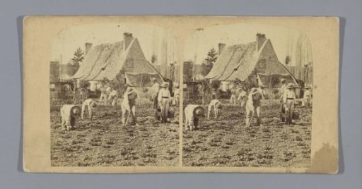 Agricultural workers cultivating the land in front of a house