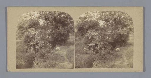 Landscape with a figure by the ditch