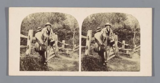 Two men on a fence in the wood