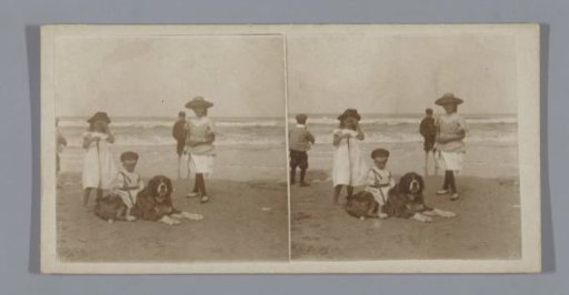 Children with a Saint Bernard dog at the beach
