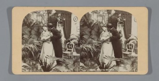 Lovers under the mistletoe