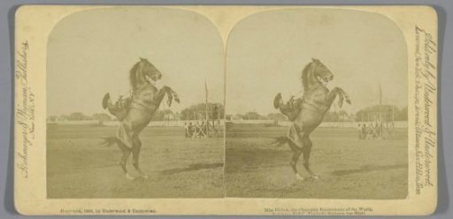 Emma Lake on a rearing horse