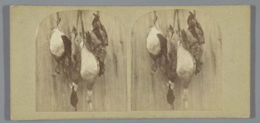Hunting trophy with ducks