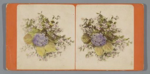 Flower still life