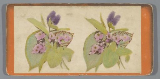 Still life with leaves and flowers