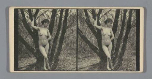 Portrait of a nude woman in a forest
