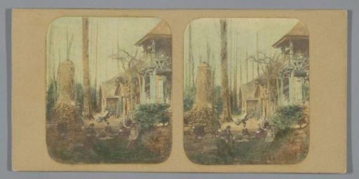 Company in a village