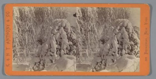 Snow-covered trees on Luna Island