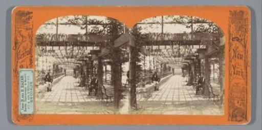 The Vine Clad Arbor in Central Park, New York
