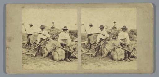 Laborers in a Field