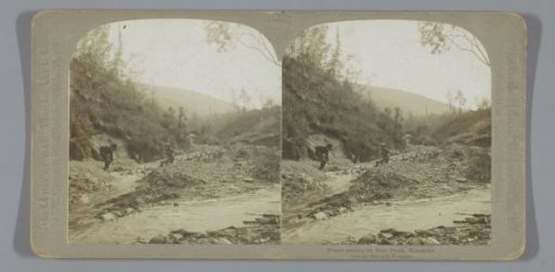 Gold prospectors in Bear Creek, Klondike