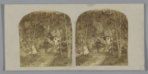 Walkers posing in a forest