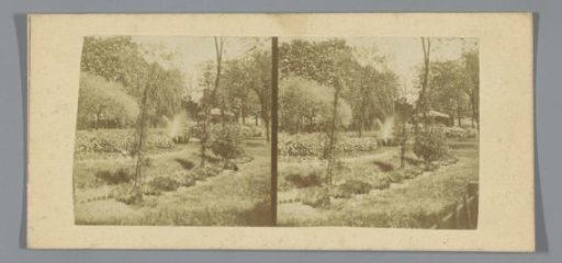 Garden with a fountain