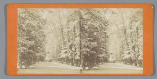 Avenue in a park, Hannover