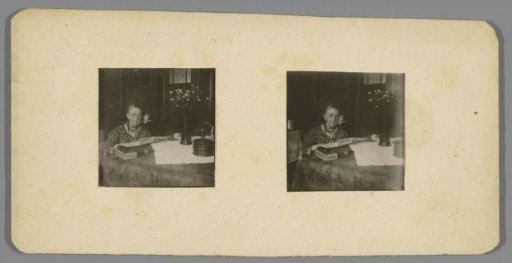 Portrait of an unknown old woman with book at a table