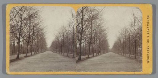 Avenue in the Vondelpark, Amsterdam