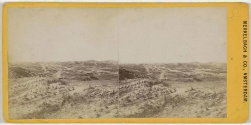 View of the dunes in the vicinity of Zandvoort