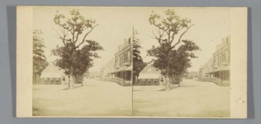 Street with trees in Scheveningen