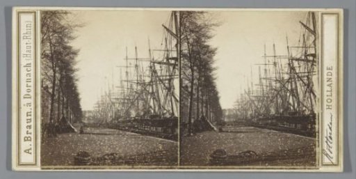 Trees along the Nieuwe Maas, Rotterdam