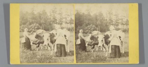 Two peasant women and cows