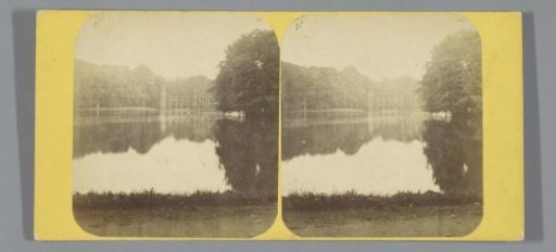 View of the pond in the Haagse Bos