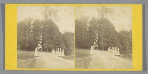 View of a bridge and row of trees in Velp