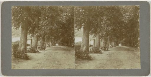 Avenue with trees, possibly in Monnickendam