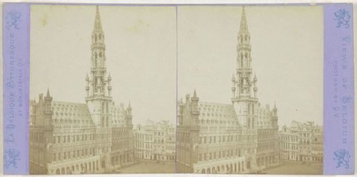 View of the Town Hall of Brussels