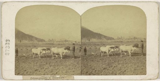 Peasants with an ox-plough in Styria