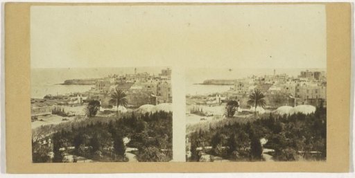 View of Algiers from the Jardin Marengo