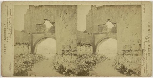 Ruin of the Lion Gate, Ani