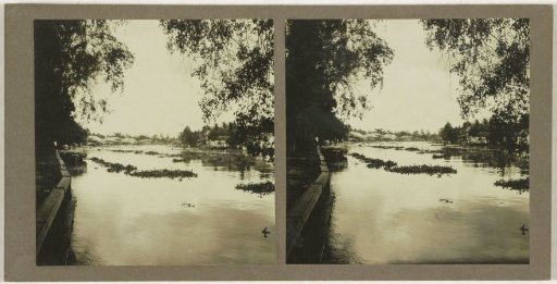 View of the Suspected Sungai Negara on Borneo, Indonesia