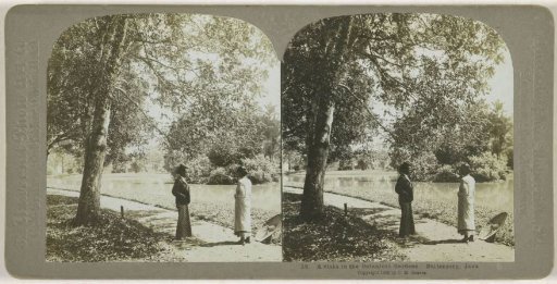 Man and woman in the botanical garden of Bogor, Kebun Raya Bogor