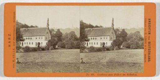Guesthouse 'zum Falken' in the Selke Valley, Falkenstein