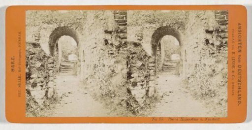 Castle ruin of Hohnstein, near Neustadt/Harz