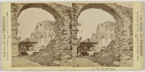 Ruins of the Marienburg near Alf, Germany