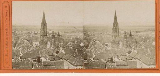 View of Freiburg with the Münster