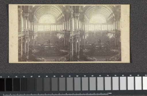 Interior of the Palace for Industry and Art with plants, Amsterdam