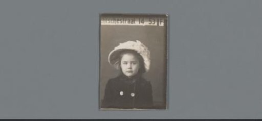 Rapid photographs
