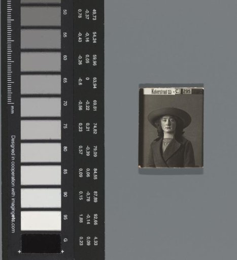 Rapid photographs
