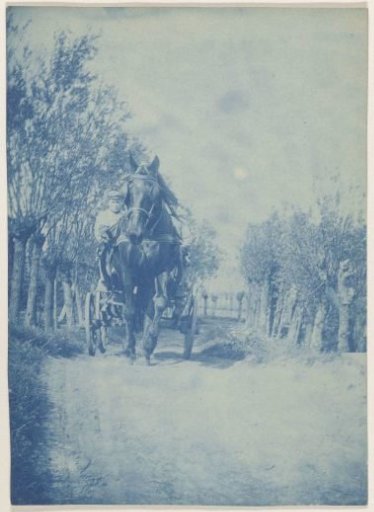 Young man in a cart drawn by a horse