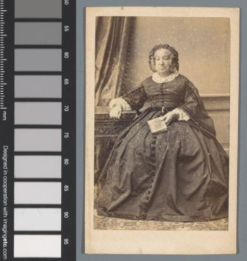 Portrait of an unknown woman with a book in her hand