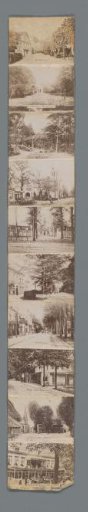 View of a street in Driebergen
