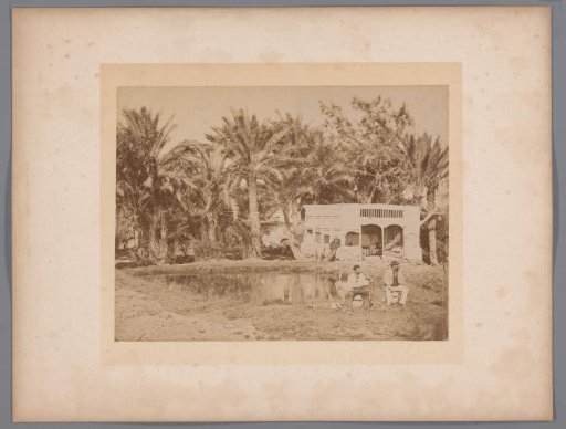 Three men, sitting and standing by a pond surrounded by palm trees