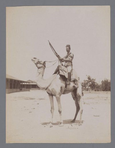 Soldier on a camel, presumably in Egypt.